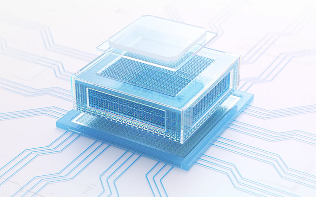 国产芯硬核实力！D2000赢咖8主板赋能更广泛