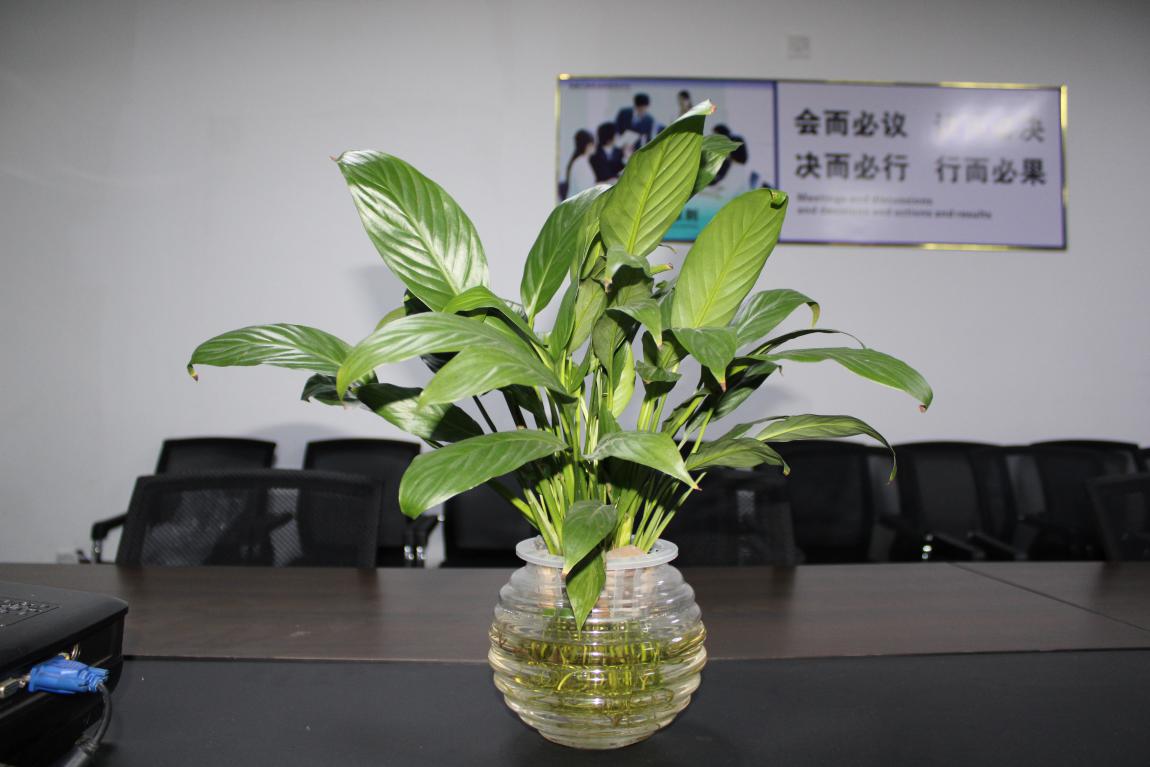 【高能计算机】您的每一个生日 我都不想缺席 【高能计算机】您的每一个生日 我都不想缺席